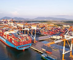 Thành lập thành phố Phú Mỹ, tỉnh Bà Rịa - Vũng Tàu
